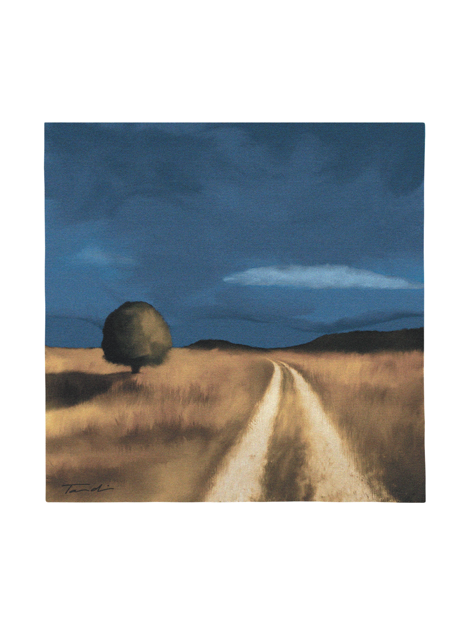 Way Home Wall Tapestry