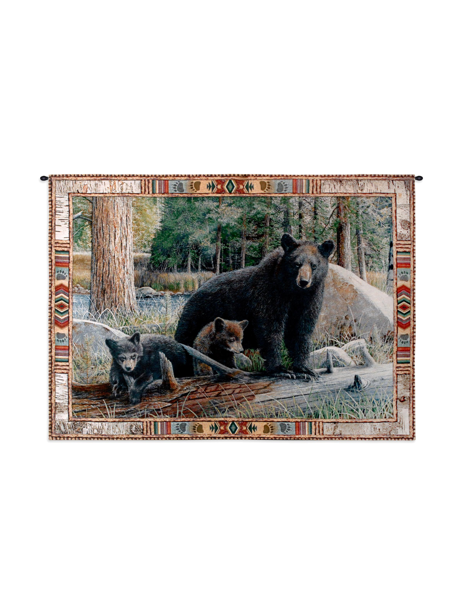 New Discoveries Medium Wall Tapestry