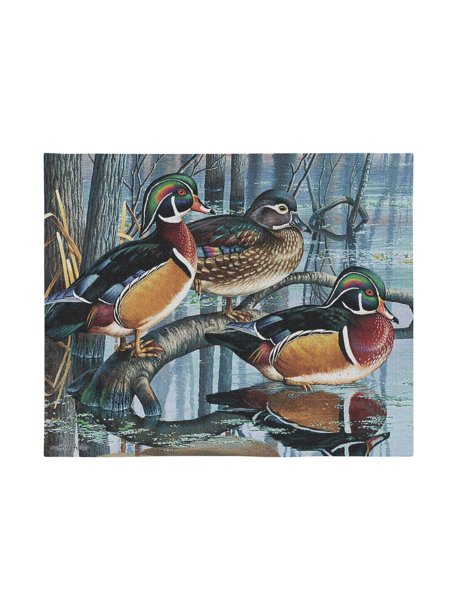 Backwater Woodies Wood Duck Wall Tapestry