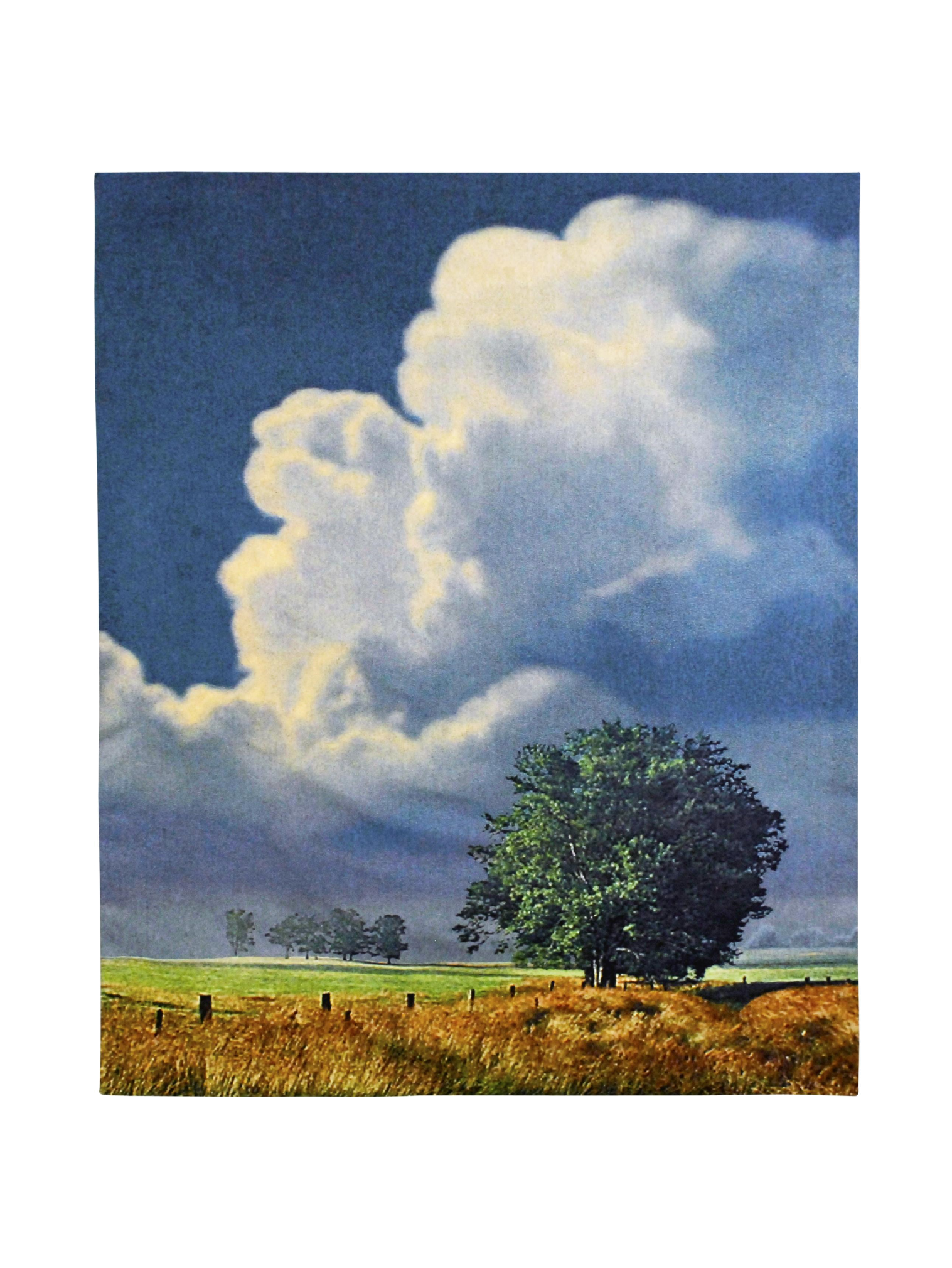 Before The Storm Wall Tapestry