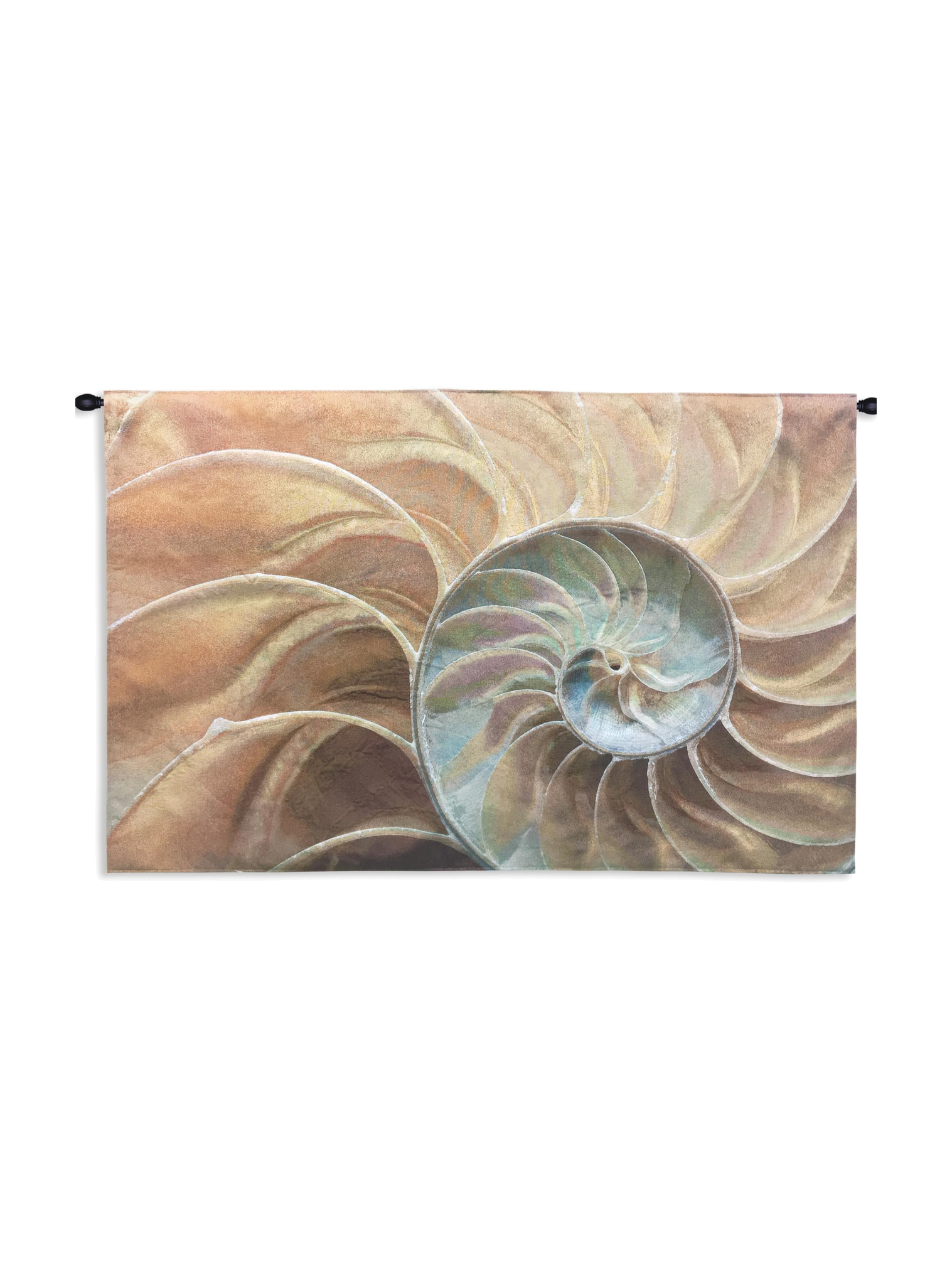Nautilus Medium Wall Tapestry